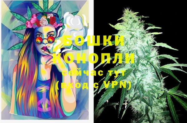 альфа пвп Няндома